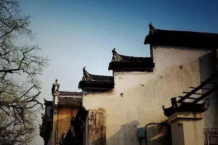 探索知识星球宝宝肌张力低是什么原因,解锁更广阔的知识世界!